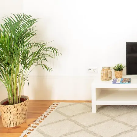 M Apartment Porto